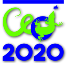 Logo CEOI 2020