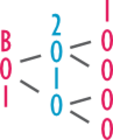 Logo BOI 2010